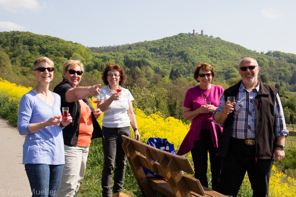 Auf dem Weinlagenweg bei Zwingenberg