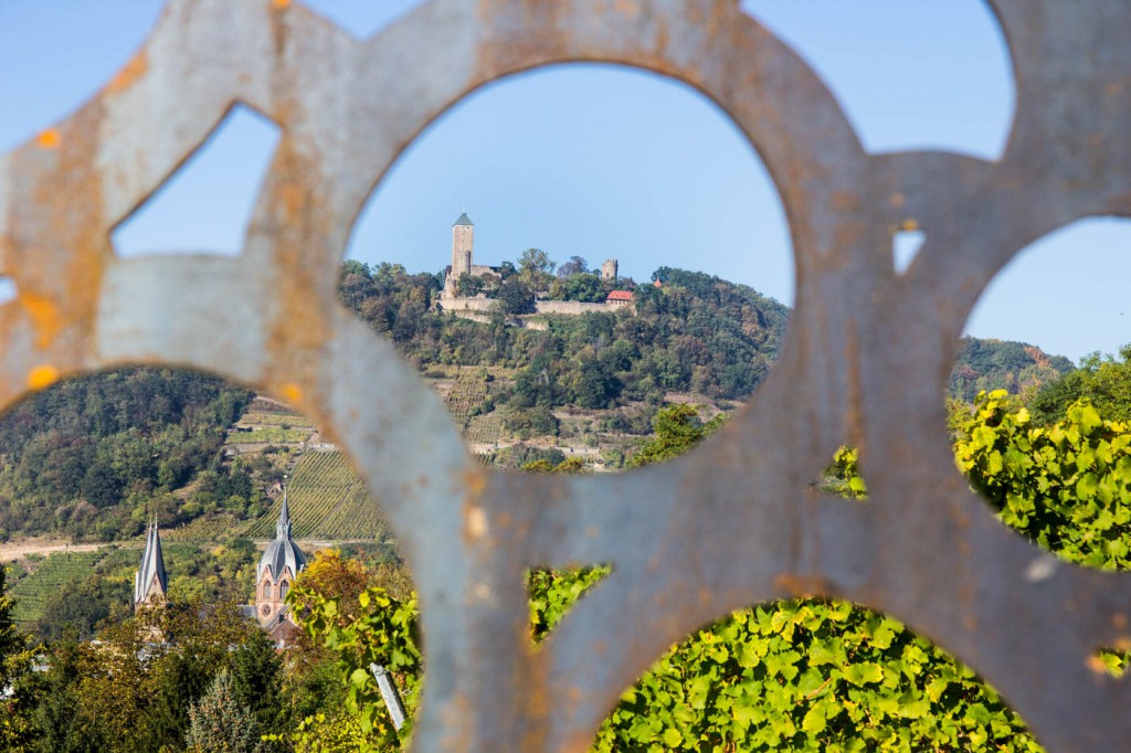 20161016-weinlagenweg-hp-img_8687