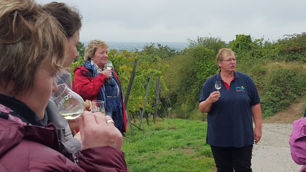 CG-Wein-Weinlagenwanderung-Weinprobe-Bensheim (10)