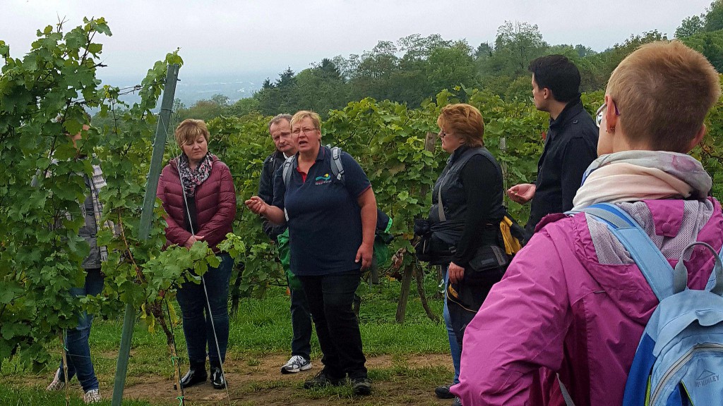 CG-Wein-Weinlagenwanderung-Weinprobe-Bensheim (13)