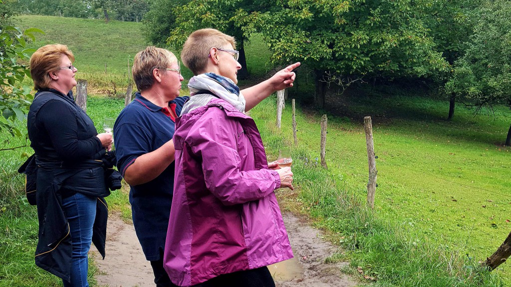 CG-Wein-Weinlagenwanderung-Weinprobe-Bensheim (16)