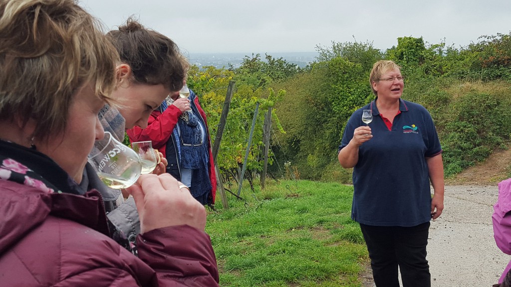 CG-Wein-Weinlagenwanderung-Weinprobe-Bensheim (19)