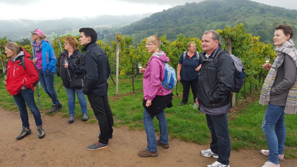 CG-Wein-Weinlagenwanderung-Weinprobe-Bensheim (2)