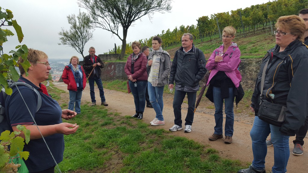 CG-Wein-Weinlagenwanderung-Weinprobe-Bensheim (20)