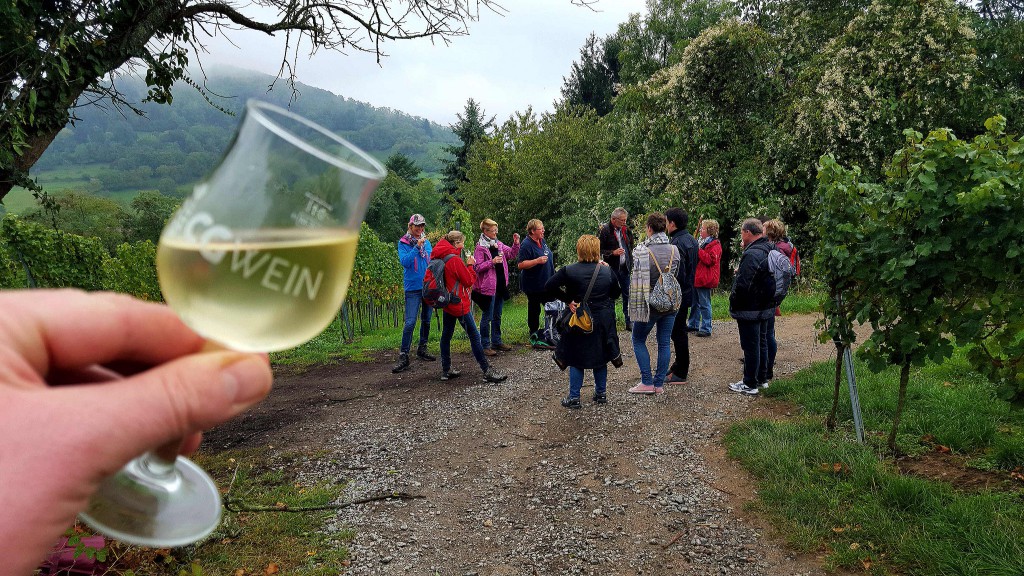 CG-Wein-Weinlagenwanderung-Weinprobe-Bensheim (22)