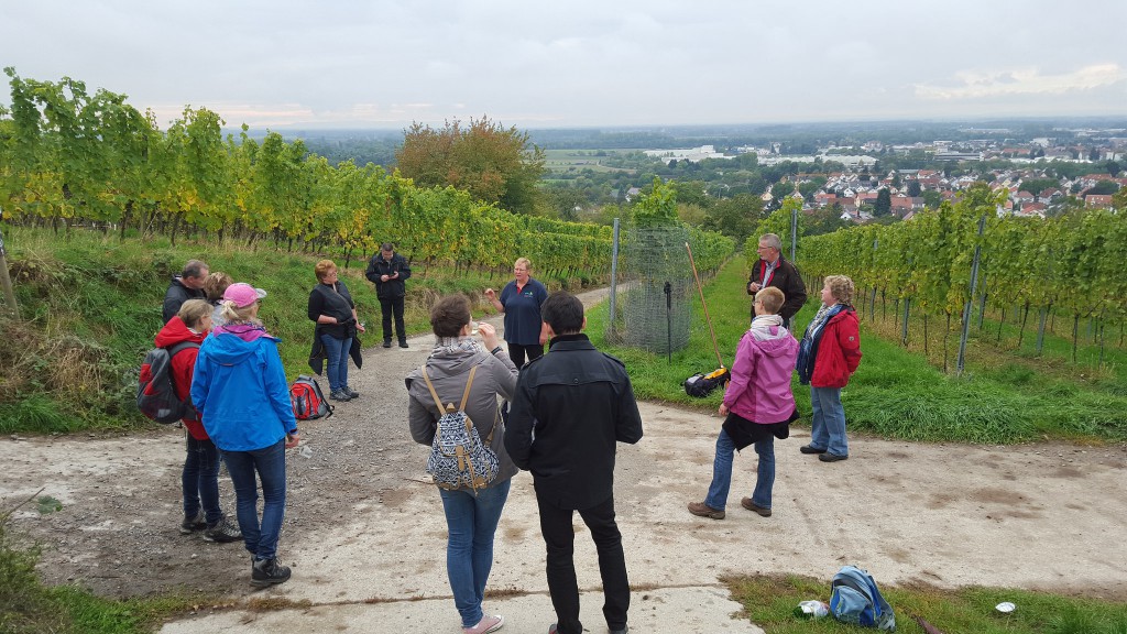 CG-Wein-Weinlagenwanderung-Weinprobe-Bensheim (24)