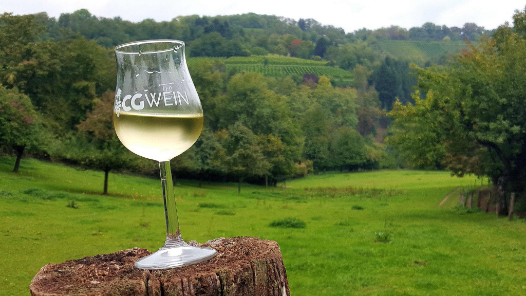 CG-Wein-Weinlagenwanderung-Weinprobe-Bensheim (7)