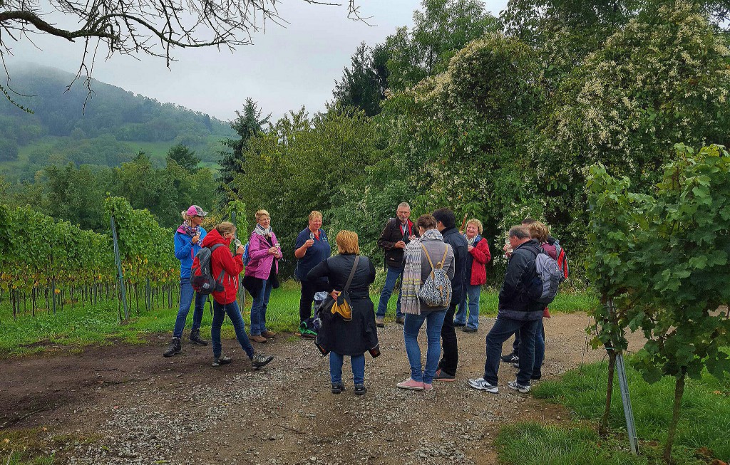 CG-Wein-Weinlagenwanderung-Weinprobe-Bensheim (9)