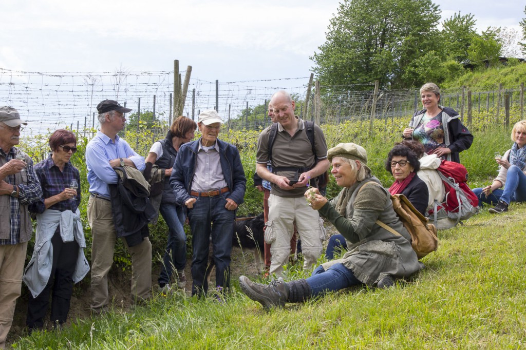 CG Wein Weinprobe Kräuter und Wein-11