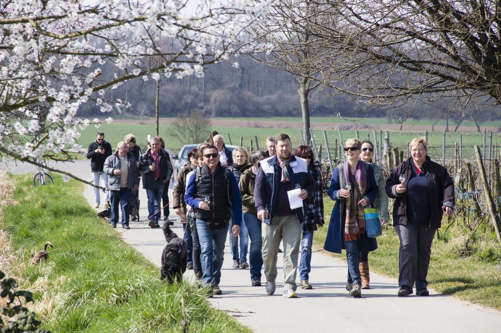 CG Wein Weinprobe mit Hüttenwanderung-8899