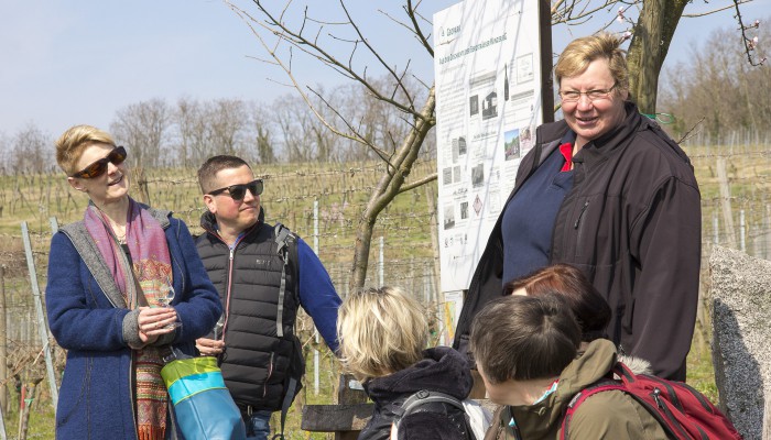 Christa Guth - Erklärungen zum Weinbau