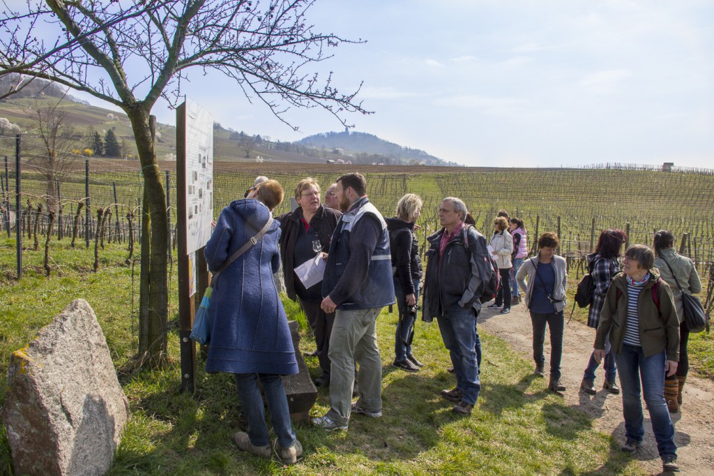 CG Wein Weinprobe mit Hüttenwanderung-8931