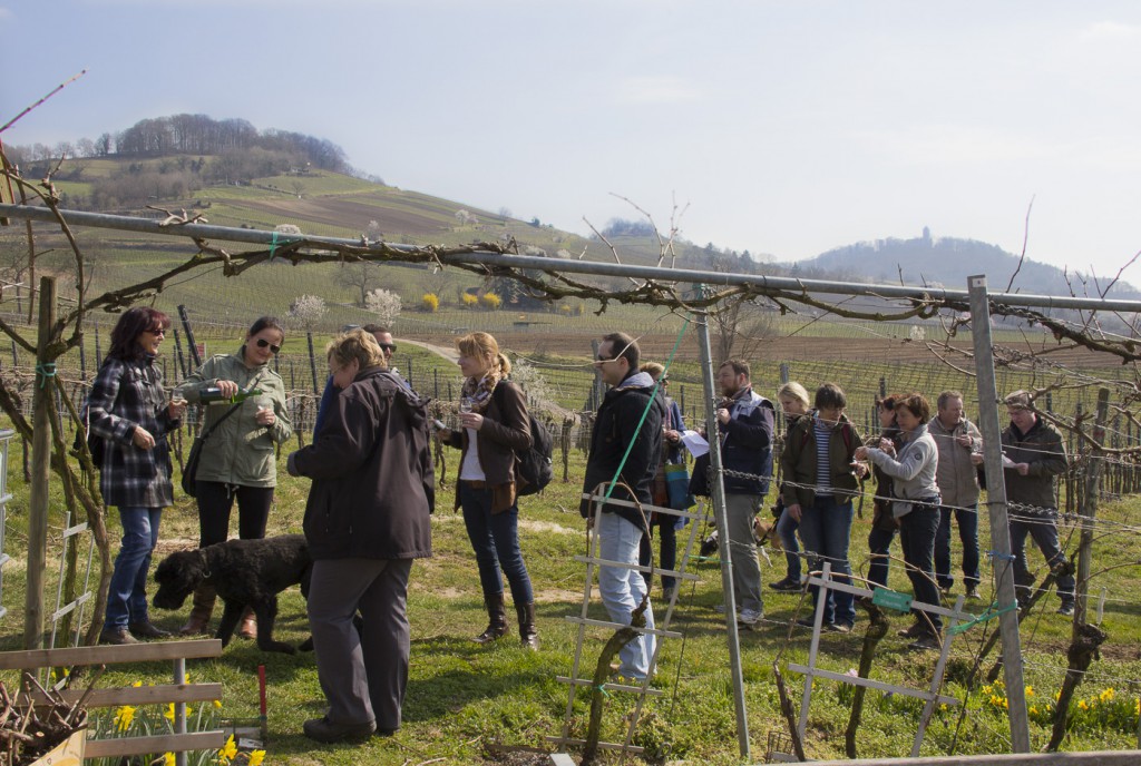 CG Wein Weinprobe mit Hüttenwanderung-8932