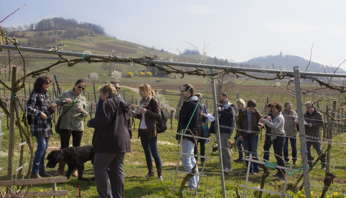 Weinprobe Lage Stemmler