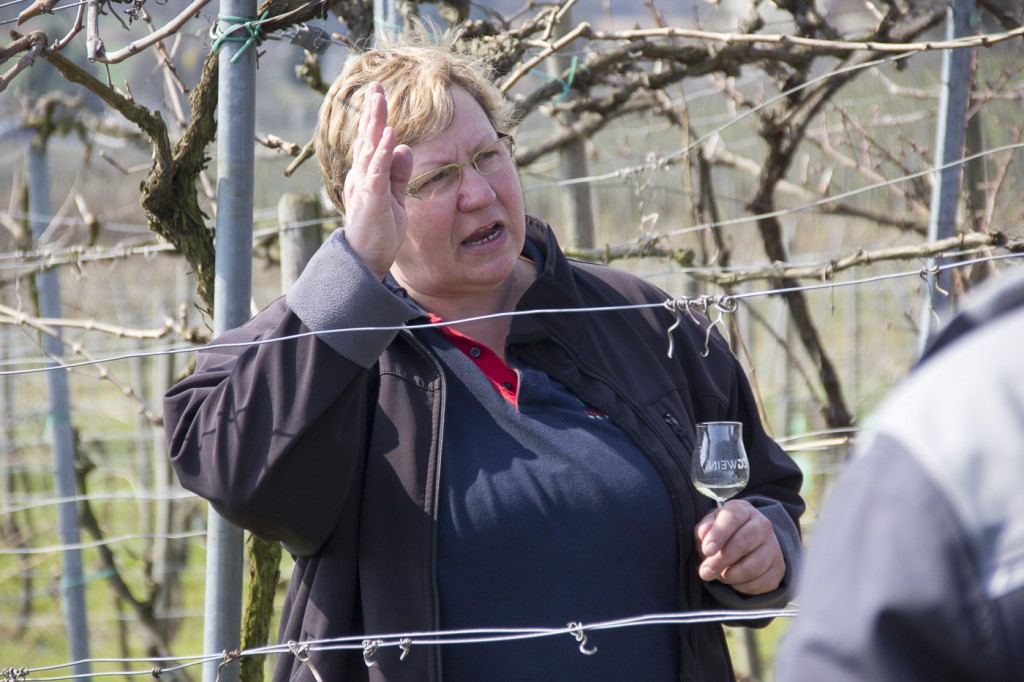 CG Wein Weinprobe mit Hüttenwanderung-8959