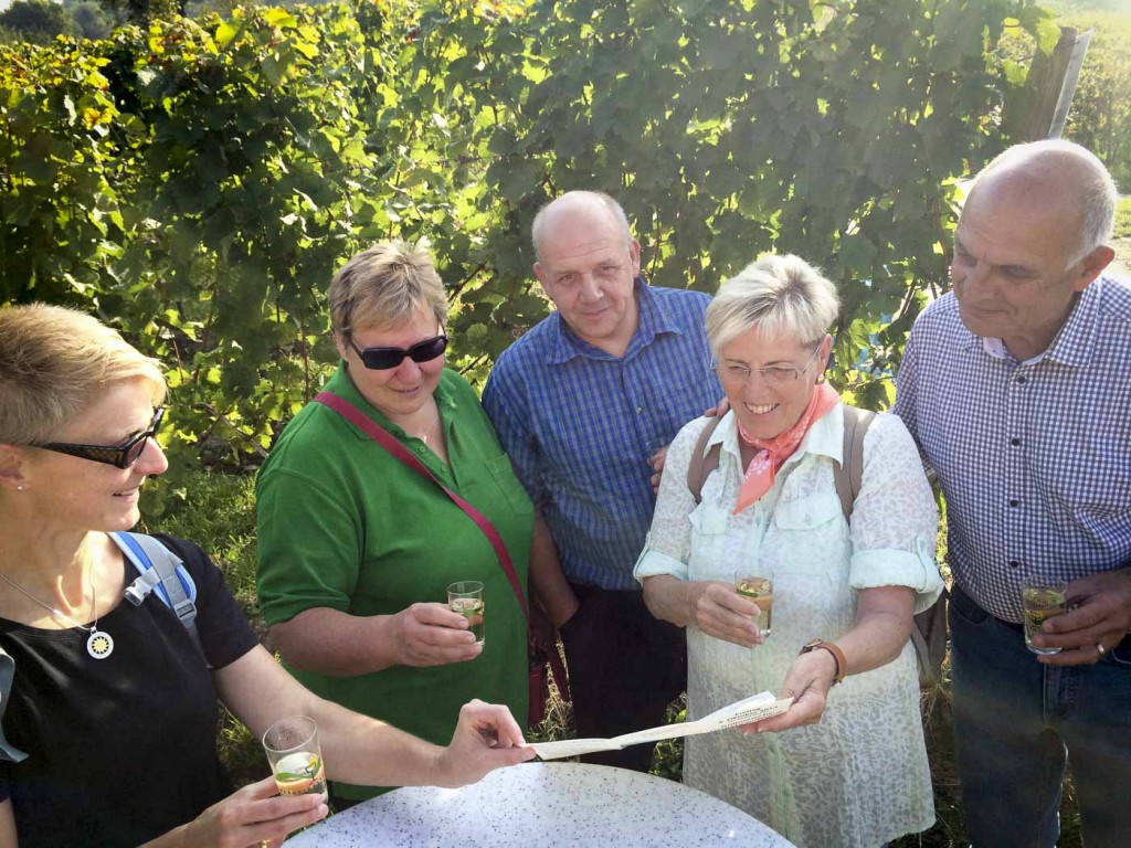 Weinlagenwanderung Heppenheim