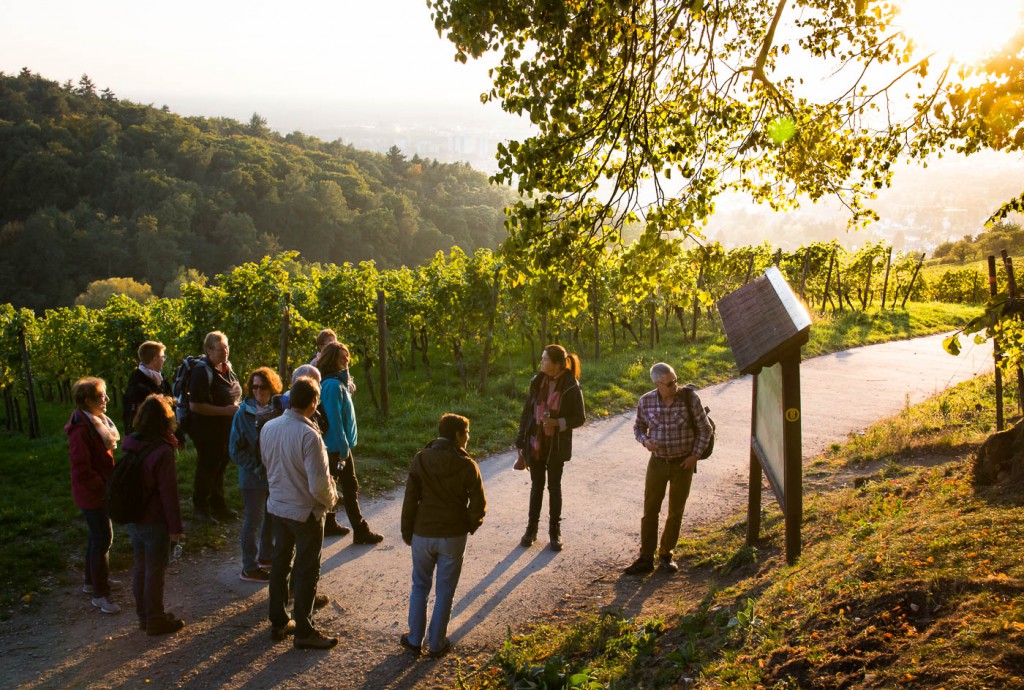 Weinprobe Hessische Bergstraße im Weinberg (15 von 24)