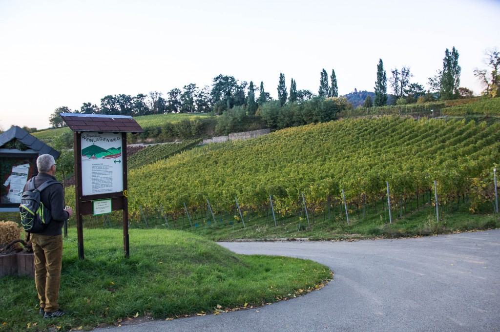 Weinprobe Hessische Bergstraße im Weinberg (22 von 24)