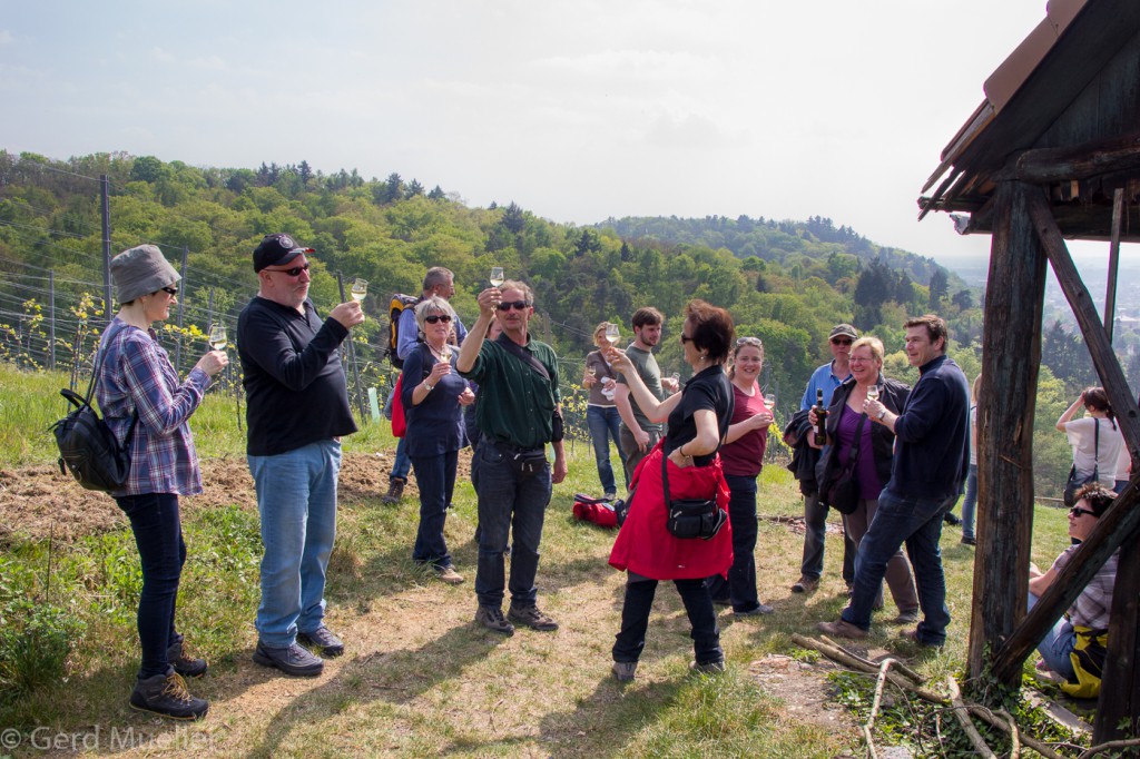 Weinprobe - Weinwanderung Bensheim CG Wein (2)