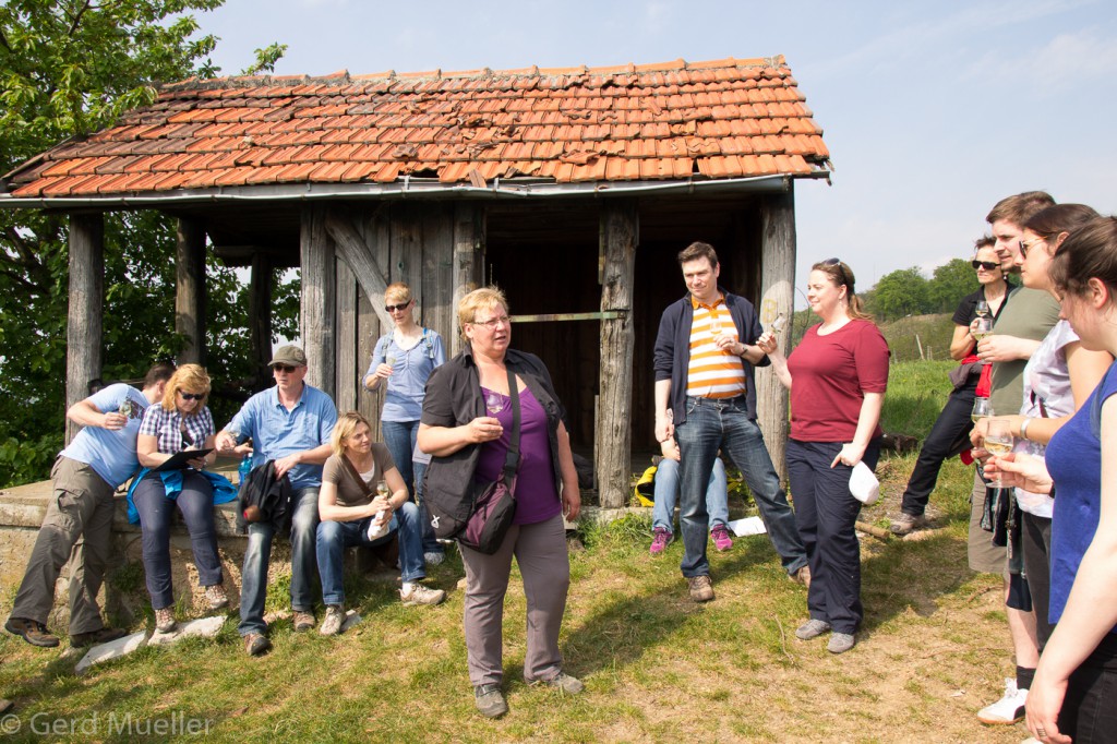 Weinprobe - Weinwanderung Bensheim CG Wein (3)