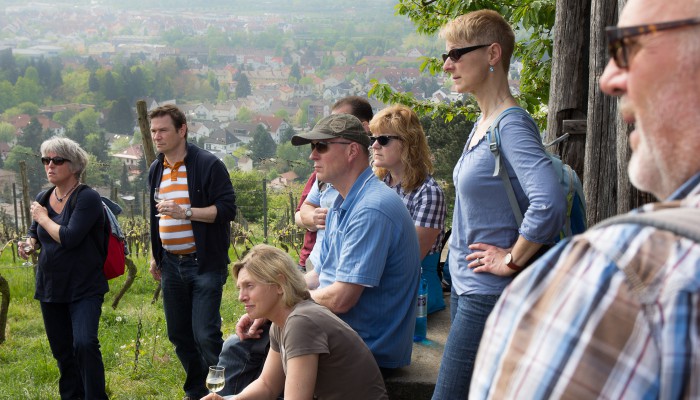 Die Gruppe erfährt vieles zum Weinbau