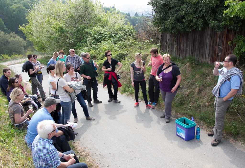 Weinprobe - Weinwanderung Bensheim CG Wein (5)