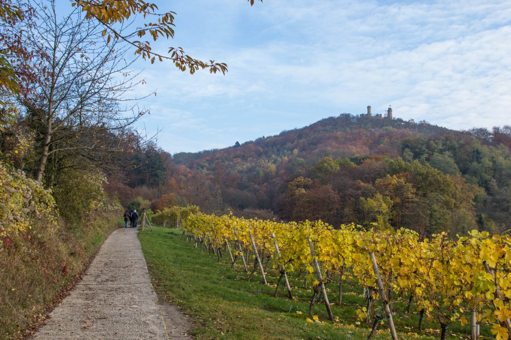 Hessische Bergstraße Weinlagenweg